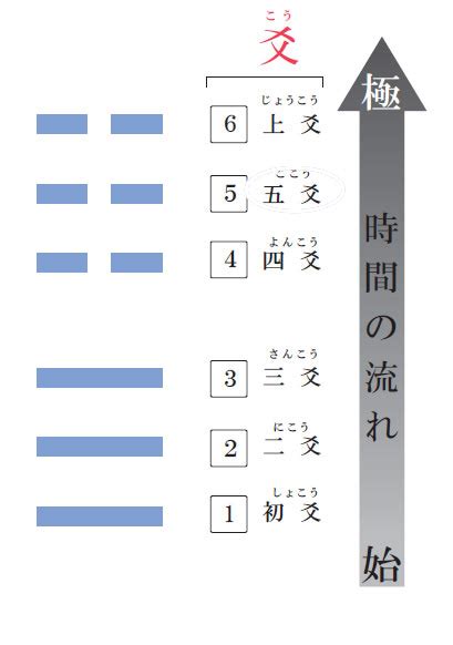 四陰|爻（こう）について 